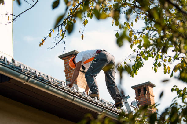 Residential Roof Replacement in Mount Pleasant, SC