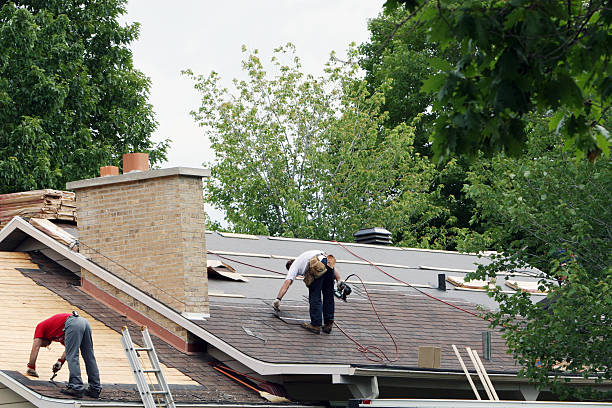 Gutter Installation and Roofing in Mount Pleasant, SC